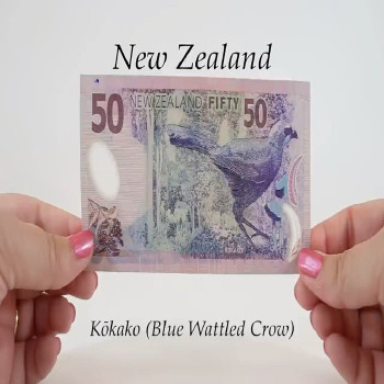 Buy Counterfeit NZD $50 Dollar Banknotes