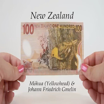 Buy Counterfeit NZD $100 Dollar Banknotes